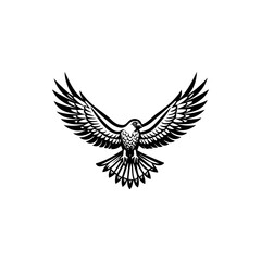 Monochrome drawing of a falcon with extended wings, vector illustration of bird