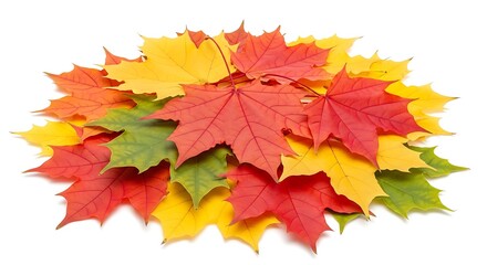 Vibrant Autumn Maple Leaves Pile Isolated on White Background.