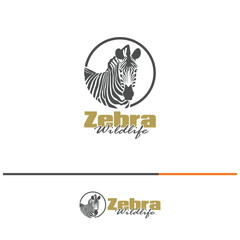 Zebra logo design is elegant and modern style. Isolated zebra on white background