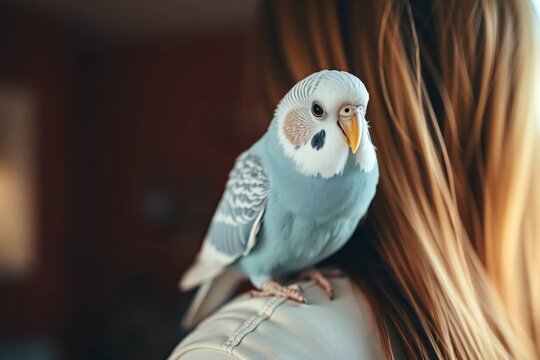 A budgie bird perched on a woman's shoulder