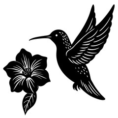 bird of paradise