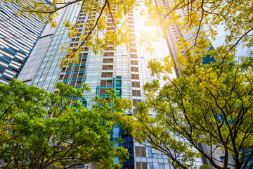 Modern skyscrapers rise behind lush green trees, symbolizing sustainable urban development and ESG values.
