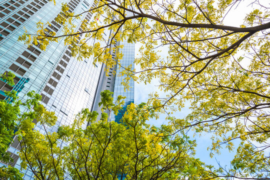 Modern skyscrapers rise behind lush green trees, symbolizing sustainable urban development and ESG values.