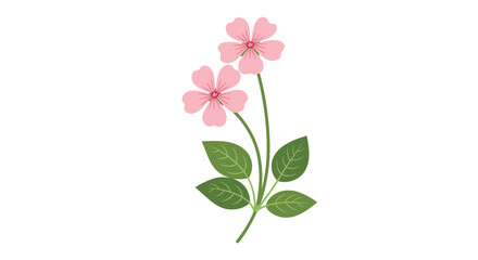 Delicate pink cherry blossoms with green leaves illustration in springtime