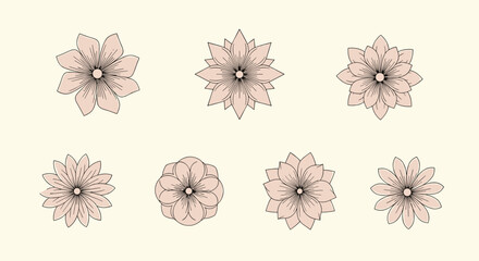 Elegant decorative floral elements for artistic projects and designs featuring delicate petal patterns in a soft palette