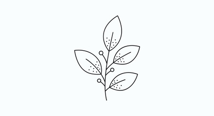 Elegant botanical illustration of a delicate branch with leaves and berries in a simple minimalist outline style