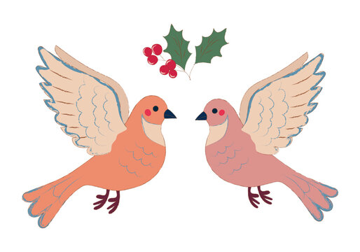 Festive vector illustration of two turtle doves with holly leaves and berries. Perfect for seasonal designs. Vector