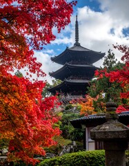 Obraz premium Autumnal pagoda nestled in vibrant foliage
