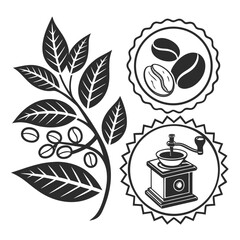 Coffee Plant Branch with Beans and Vintage Grinder and Coffee Beans Icons Black and White Vector