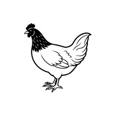 Detailed monochrome illustration of a chicken standing on a white background