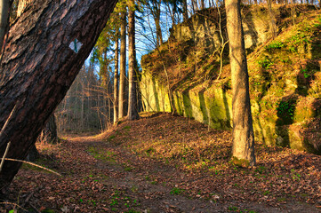 Rezerwat Przyrody "Nad Groblą" (Park Krajobrazowy "Chełmy").Piękna leśna ścieżka ze ścianą skalną podczas złotej godziny. © Pol Badger