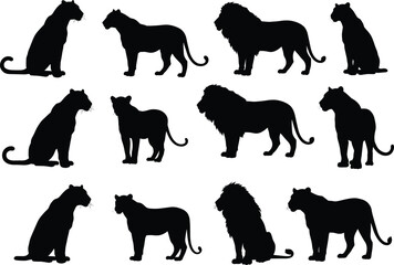 Black silhouette vector set of lions and panthers, wild big cats in various poses, perfect for wildlife, nature, animal design