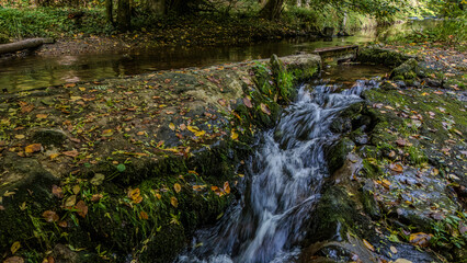 Klares Wasser fließt über moosbedeckte Felsen in einem ruhigen Bach im herbstlichen Wald