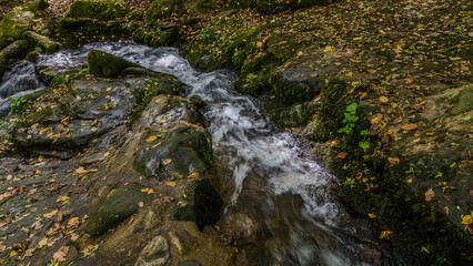 Fließendes Wasser über glitschige Steine in einem herbstlichen Wald mit buntem Laub