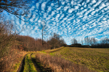 Góry Kaczawskie - szlak na Dłużek. Otwarta przestrzeń z spokojną, trawiastą ścieżką wśród drzew, pod intensywnie błękitnym niebem usianym chmurami. © Pol Badger
