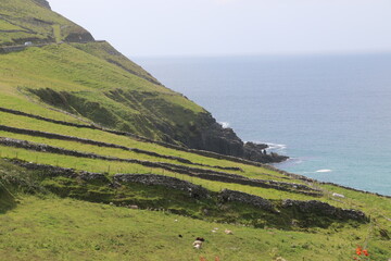 Beauté intemporelle de la péninsule de Dingle en Irlande