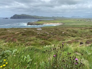 Beauté intemporelle de la péninsule de Dingle en Irlande