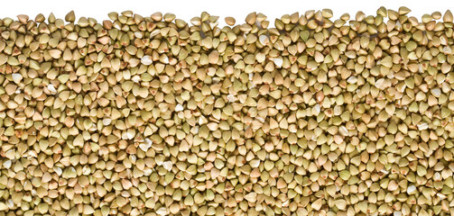 Green buckwheat groats forming a seamless food background with transparent background