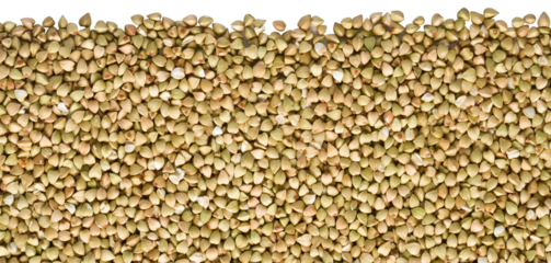 Green buckwheat groats forming a seamless food background with transparent background