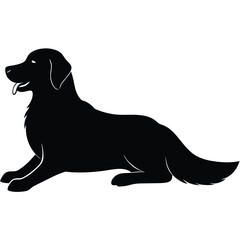Black silhouette of a Golden Retriever dog lying down on white animal canine