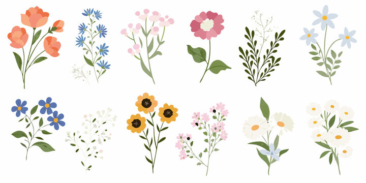 Collection of delicate and colorful hand drawn floral illustrations on a white background