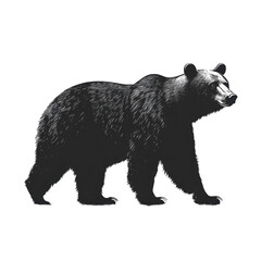 Fototapeta premium Bear silhouette isolated on transparent background