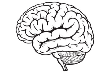 Brain silhouette icon simple vector illustration isolated on white background for medical concepts
