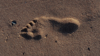 Footprints on the beach in the sand