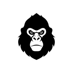 A close up of a black and white cat s face with green eyes