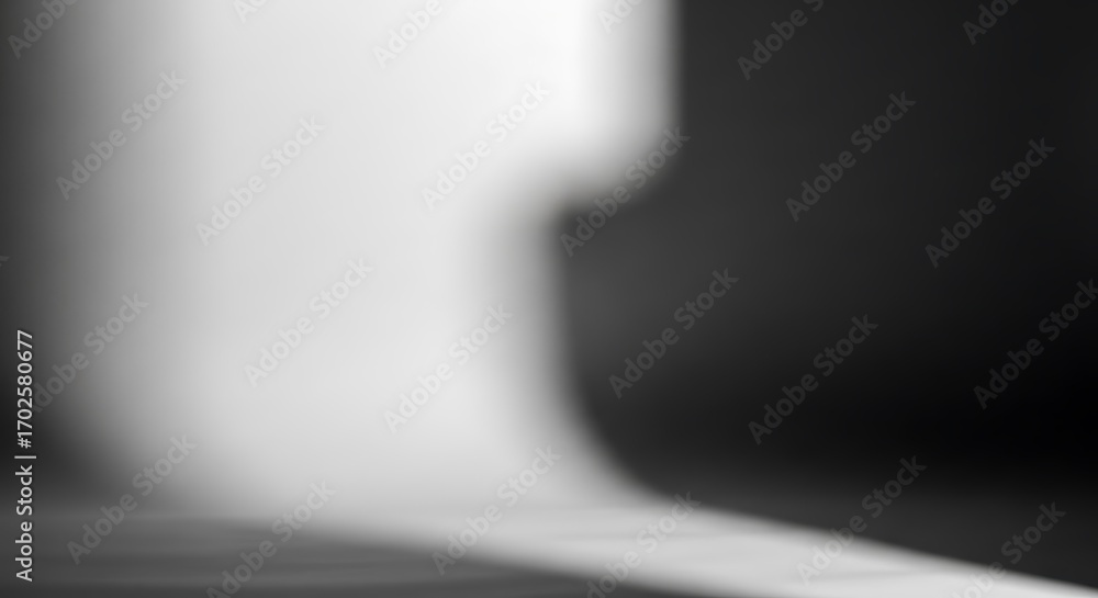 Poster a mesmerizing grayscale photograph showcasing a soft, blurred light cascading down, creating a seren