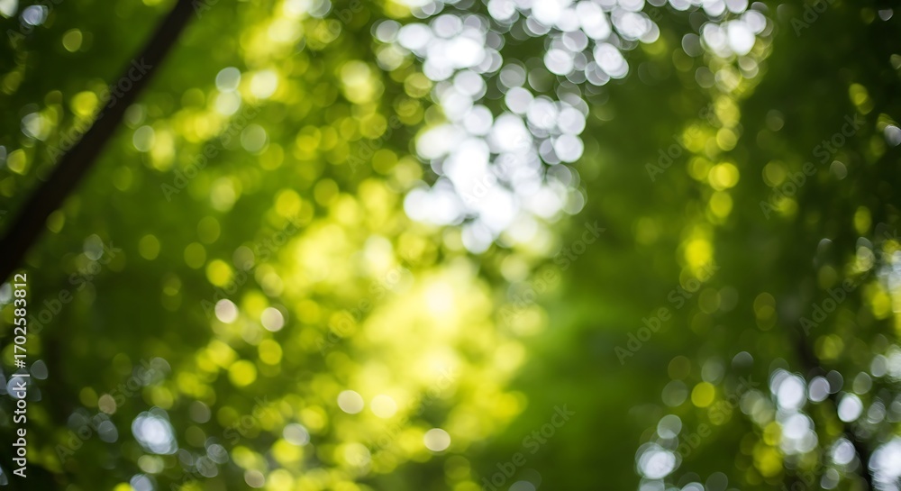 Poster a captivating view looking up through the lush green canopy of a dense forest, where sunlight filter
