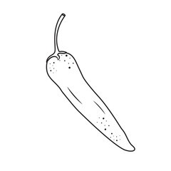 Vector Chilli Pepper Outline One Whole Chilli Line Art On White Background Vector Illustration