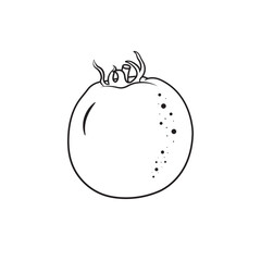 One Whole Tomato Outline Line Art Of Tomato On White Background Vector Illustration