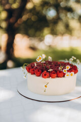 cheesecake with berries