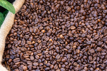 Freshly Roasted Natural Coffees and Plants in a Sack
