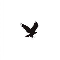 Obraz premium Black silhouette bird in flight