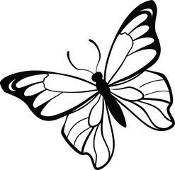 Elegant butterfly illustration with intricate wing details in black and white design on white background