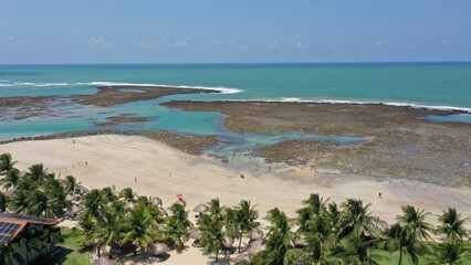 Fantastic panoramic view of Serrambi beach with coral reefs, natural swimming pools in the sea, white sand and palm trees. Serrambi near Recife in Pernambuco State, Brazil 