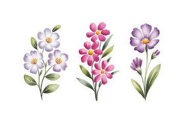 Pink and purple watercolor floral bouquet set for textile design.
