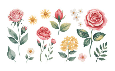 Watercolor roses, daisies, and hydrangea floral elements isolated.
