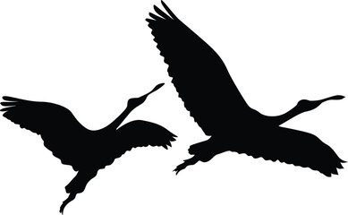 Roseate Spoonbill Bird Vector | Wildlife EPS Illustration Design