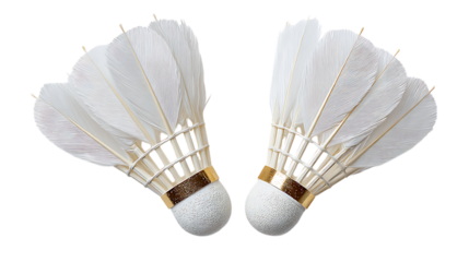 Two white shuttlecocks for badminton with feathered tips isolated on white background. 