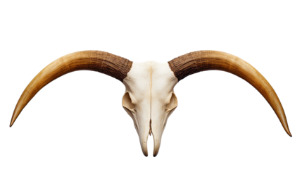 Cow Horn PNG Isolated on White Background for Animal and Design Use