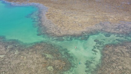 Obraz premium Fantastic panoramic view of Serrambi beach with coral reefs, natural swimming pools in the sea, white sand and palm trees. Serrambi near Recife in Pernambuco State, Brazil 