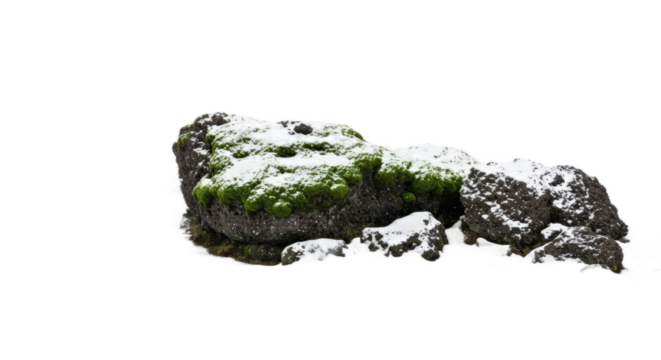 Snowy Rock with Green Moss on a Dark Background, Winter Landscape, Nature Photography, Seamless Texture for Design Projects, Ideal for Website