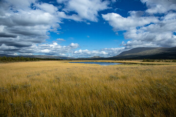 Lake in the marsh Fokstumyra, a nature reserve in Dovre mountains, Norway