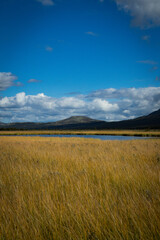 Lake in the marsh Fokstumyra, a nature reserve in Dovre mountains, Norway