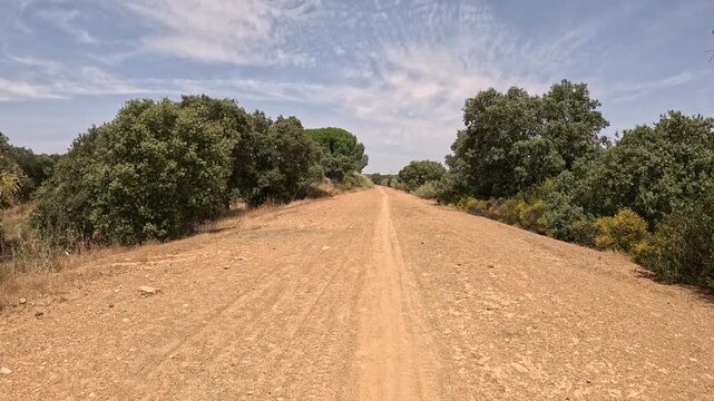 Camino Mozarabe de Santiago - a dirt road between Cerro Muriano and El Vacar, province of Cordoba, Andalusia, Spain