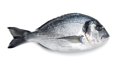 Obraz premium Fresh fish, isolated