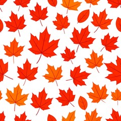 Obraz premium Autumn maple leaf pattern